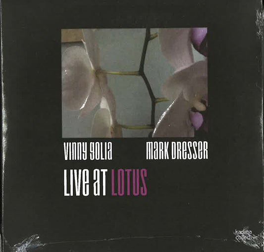Dresser: Live at Lotus